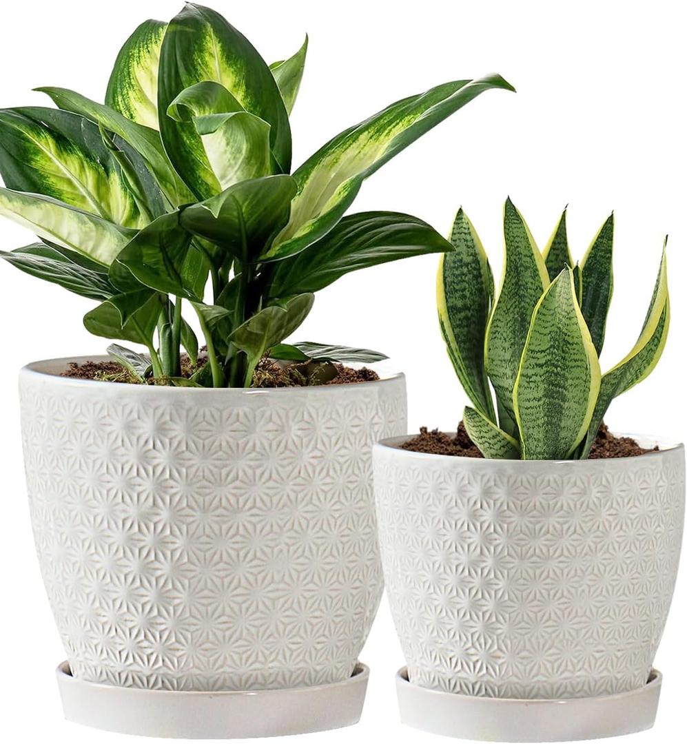 Plant Pots, Flower Pots, Planters for Indoor Plants(6.5+5.5inch), Flower Pots for Indoor Plants with Drainage Hole and Saucer, Ceramic Pots for Plant with Hole Mesh Pad,White