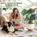 8/9/10 Inch Large Self Watering Pots, Plastic Flower Pots with Multi Mesh Drainage Holes and Water Level Indicator & Deep Reservoir for Indoor Outdoor Garden Plants and Flowers (White)