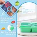 Bento Snack Box Containers, Meal Prep Container Reusable for Kids, Stackable Bento Box Adult 4 Pack, Divided Food Storage Containers with Clear Lids, Sauce Container, Light Colors