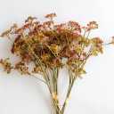  Artificial Fake Flowers Plants  Meadow Sedge Sunset Stem Flower Arrangements Wedding Bouquets Decorations Plastic Floral Table Centerpieces for Home Kitchen Garden Party Decor Approx 