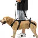 COODEO Mobility Dog Lift Harness, Support Sling & Walking Sling for Dogs, Pet Rear Leg Rehabilitation Support Vest, Dog Carrier for Senior Dogs with Joint Injuries, Arthritis, Up Stair (Black, M)