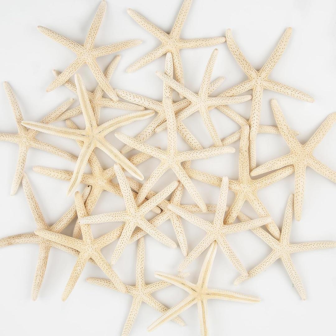 20 PCS Small Starfish for Crafts 2" to 4" Natural Starfish Decor Bulk, for Wedding Beach Theme Decor Home DIY Crafts Decor Christmas Tree Starfish Ornaments