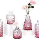 TBWIND Pink Day Glass Bud Vase Set of 5, Small Flower Vases for Centerpieces in Bulk, Mini Vintage Vase for Wedding Decor, Single Flowers, and Home Table Dcor