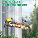 Clear Window Bird Feeder Outdoors - Bird Feeder for Viewing with 5 Perching Stands, Self-Adhesive Hooks, Drain Holes and Removable Tray, as a Birdhouse, Garden Decor