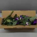 HyeFlora Artificial Flowers for Outdoors 2PCS Faux Petunias Silk Fake Flowers for Outside Planter UV Resistant Realistic Home Garden Porch Decor (Purple)