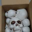 8 Pcs Skull Heads Halloween Decor Include Life Size Skeleton and Small Plastic Skulls with Moveable Chins for Halloween Party Props Table Graveyard Outdoor Home Decor Gift (4.9''&2.9'')