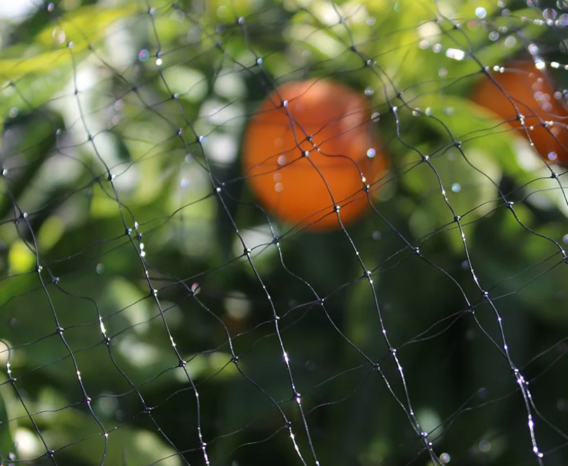 Bond Manufacturing Garden Netting, Black 14ftx45ft