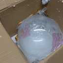 Penn Collection 1-Light Clear Glass Farmhouse Pendant Light Natural Brass