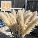40" inch 20 Stems Natural Pampas Grass Decor Tall, Pompas Grass, Tall Pampas Grass for Wedding, Party, Farmhouse, Boho Home Decor