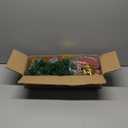 Small Christmas Tree with Lights - 23 Inch Mini Tabletop Christmas Tree with Multi-Color LED Lights, Hanging Ornaments, Decorative Bow and Gift Boxes - Prelit Table Tree for DIY Christmas Decoration