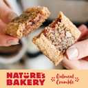 Natures Bakery Oatmeal Crumble Bars, Strawberry, Real Fruit, Vegan, Non-GMO, Breakfast bar, 6 Boxes With 6 Packs, 36 Count