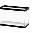 Aquarium 15 x 8,6 in One lamp And Two trees