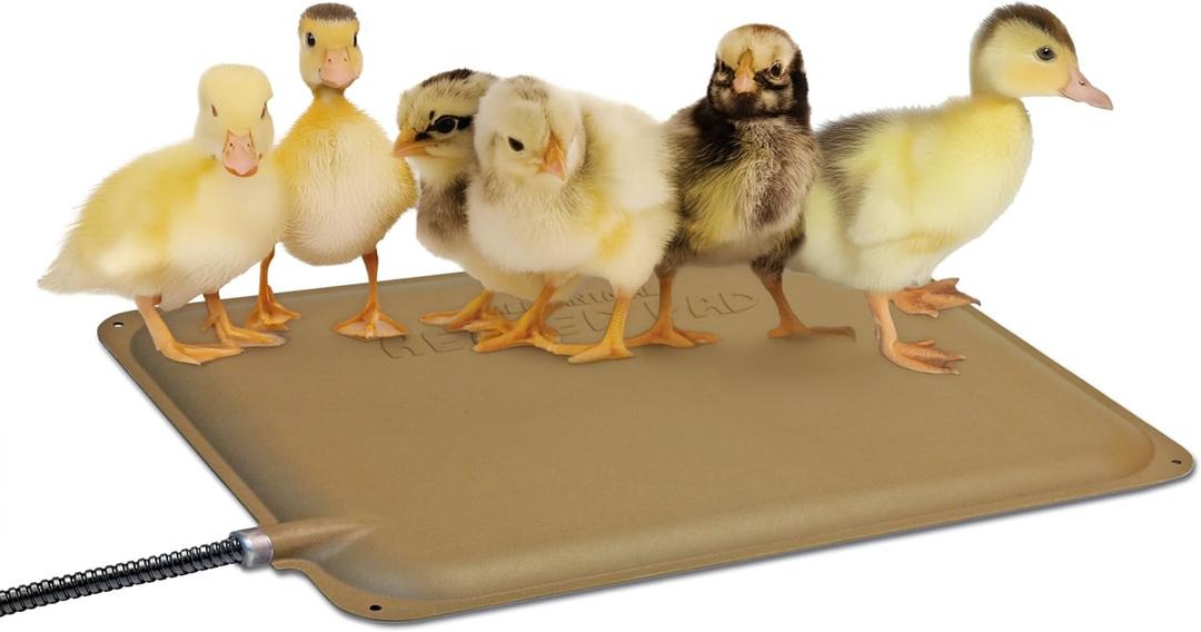 K&H Pet Products Thermo-Peep Chicken Heating Pad for Brooders and Chicken Coops, Warming Heat Plate for Chicks and Ducklings, Safety Listed Poultry Heat Lamp Alternative - Petite 12 X 9in, Tan 25W