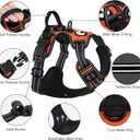Taglory Light Up Dog Harness, Rechargeable No Pull Dog Vest with 3 Lightning Modes, Reflective Dog Harness with 2 Leash Clips & 4 Adjustable Slide Strips for Small Dogs, Orange-Orange, S