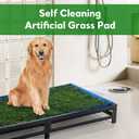 HOMBYS Porch Grass Potty for Dogs with Drain, Artificial Grass Dog Potty Tray for Indoor & Outdoor,Pet Litter Box for Small Dogs, Puppy Toilet for Patio (25" L x 23" W x 6" H)