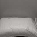 Saybrook Adjustable Pillow (Standard/Queen (Pack of 1))