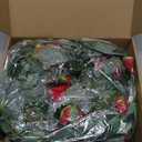 5.9FT Bendable Rose Flower Garlands, Artificial Silk Wild Roses Vine Hanging Flowers for Wall Fireplace Fence Table centerpieces Trellis Wedding Indoor Outdoor Spring Decor (Red, 2)