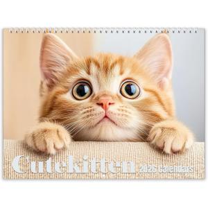 4 x 2026 Wall Calendar,Calendar 2026, January 2026 - December 2026, Wall Calendar Cat Kitten, 11" X 17" Opened,Full Page Months Thick & Sturdy Paper for Calendar Organizing & Planning