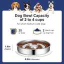 AIPERRO Slow Feeder Dog Bowl Stainless Steel, 2 Cups Metal Non-Slip Dog Food Bowls, Dogs Water Bowl for Small & Medium Sized Dogs, Fun Bloat Stop Pet Bowl for Fast Eaters, Slows Down Pets Eating