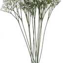 Artificial Flowers,12 pcs Silk Baby's Breath, Artificial White Plastic Flower for Home Decoration, Long Stem Fake Flowers for Wedding Decoration, DIY Bridal Flower(Milk White)