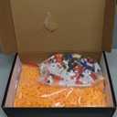 VIIOVOIIV Idea Festival Micro Building Blocks Set(4500Pieces) Storage Box Building Blocks,for Adults and Kids Ages 8+