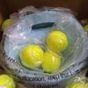 Automatic Ball Launcher for Dogs: Indoor Thrower Fetch Machine,Blue