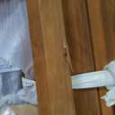 Christopher Knight Home Telluride Outdoor Acacia Wood Swivel Club Chair with Removable Cushion, 360 Rotating Patio Armchair for Garden, Balcony, or Poolside Seating, Teak + Beige