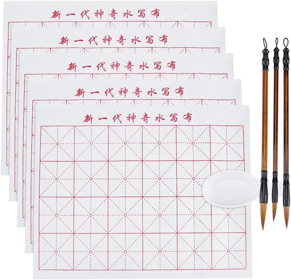 PH PandaHall 14pcs No Ink Chinese Calligraphy Set Chinese Calligraphy for Beginners Professionals Grid Water Writing Magic Cloth 3pcs Traditional New Year Calligraphy Brushes and Water Dish 13x17inch