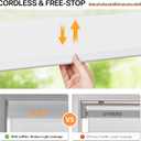 LazBlinds No-Drill Cordless Zebra Blinds - Dual Layer Light Filtering & Room Darkening, Free-Stop Lift, Easy Install, Day & Night Privacy with Valance for Window 24.5" W x 72" H, White