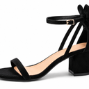 Courtgo Chunky Heels Size 8.5
