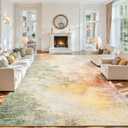 8x10 Area Rugs for Living Room, Washable Abstract Large Bedroom Rug Non-Slip Low Pile Stain Resistant Indoor, Soft Throw Thin Modern Carpet for Kitchen Farmhouse Nursery Home Office Decor, Colorful