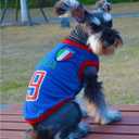 GabeFish Dog World Cup T Shirt Pets Football Jersey Sports Soccer National Team Vest Cat Summer Cool Clothes Apparel Italy Medium