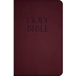 NABRE - New American Bible Revised Edition (Red Premium Ultrasoft)