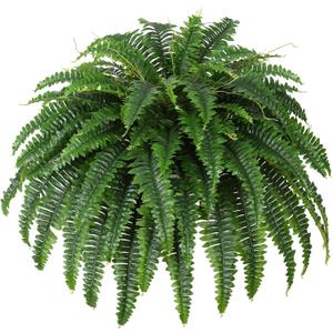 Single Silky Artificial Boston Fern Bush, 43Inch Large Artificial Ferns for Outdoors, Large Faux Ferns Artificial Plants,Suitable for Decorating Office, Living Room Faux Greenery,69Branches (1 Pcs 43"- 69 Leaves)