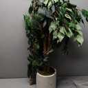 Curved Leaf 5FT Artificial Ficus Tree with White Plante UV Resistant