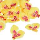 PATIKIL 2.8" Artificial Orchid Flower Heads, 20 Pack Silk Phalaenopsis Fake Butterfly Orchid Heads for Wedding Floral Bouquet Decor DIY Craft Making, Yellow