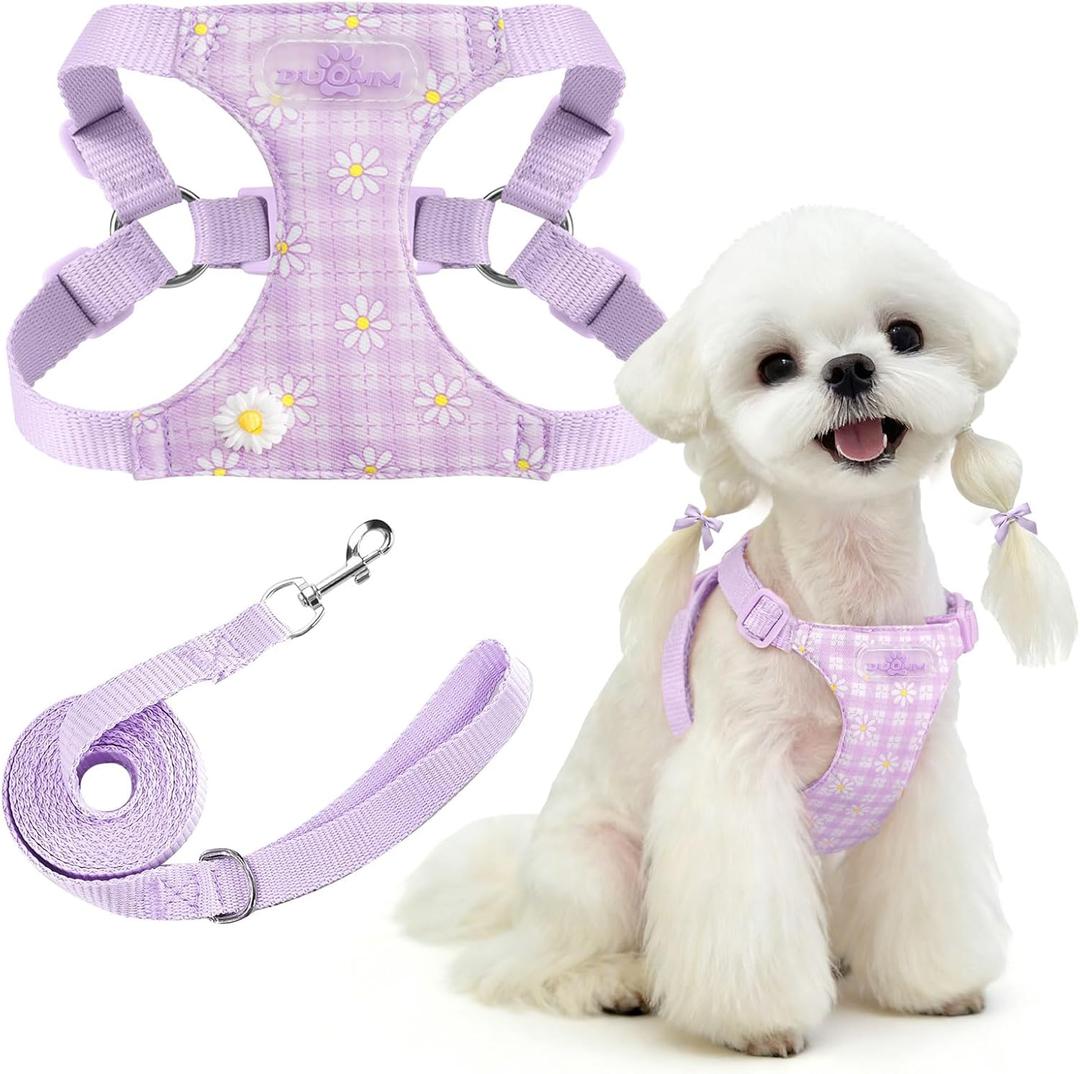 PETCARE Cute Small Dog Harness and Leash Set Purple Floral Daisy Puppy Harness Vest Adjustable Step in Spring Summer Soft Mesh Flower Girl Dog Harnesses for Chihuahua Yorkie Pomeranian Shih Tzu, M