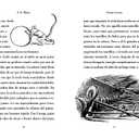 Stuart Little (Spanish Edition)