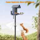 Squirrel Baffle for Bird Feeder Pole - Dynamic Steel Spring-Loaded Wobble Defense, 0.32" Thick Anti-Chew Polycarbonate Guard, Fits 0.4"-1" Round Poles Only, 19 Inch, Metal Buckle, Clear