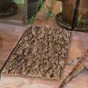 Kisangel Reptile Terrarium Bark Decor Natural Tree Bark Background 11.8 Inch Reusable Terrarium Accessory for Gecko Lizard Spider Enclosures