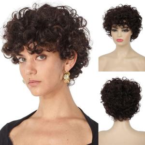 Baruisi Short Curly Brown Wigs for Women Natural Looking Synthetic Brown Cosplay Hair Wig
