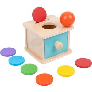 Adena Montessori Infant Toddlers Coin Box Montessori Toys for 6-12 Months Babies 1 Year 2 Year Old (2 in 1,Coin&Ball, Blue Door)