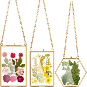 AVLA 3 Pack Pressed Flowers Glass Frames, Brass Hanging Picture Frames with Chain, Small Golden Floating Photo Frame, Clear DIY Artwork Display Frame for Wall Decor, Dried Plant Specimen