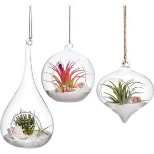 Mkono 3 Pack Glass Hanging Planter Air Fern Holder Terrarium Plants Hanger Vase, Home Christmas Decoration Gifts for Plant Lovers, Succulent Moss Tillandsias Air Plants Globe (Plant Not Included)