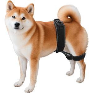 Dog Hip Orthotics Brace, Dog Hip Dysplasia Brace, Support for Hip Dysplasia, Arthritis, Luxating Patella, Back Leg limping, Relieve Hip Pain and Orthodontic Assistance - Medium