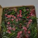 5.9FT Artificial Christmas Garland String Lights with 162 Snowy Red Berries 55 Green Leaves 20 LED Lights Battery Operated for Xmas Mantle Indoor Outdoor Holiday Christmas Thanksgiving Decoration