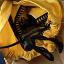 Kijaro Dual Lock Portable Camping Chairs - Versatile Outdoor Folding Sports & Lawn Chair - Locks Position Izamal Yellow