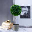 Elements Artificial Boxwood Topiary, 17 Inch (Multicolored)
