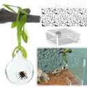 5Pcs Jumping Spider Hide Enclosure Habitat Accessories with Decoration Glass Ball, Feed Bowl and Climbing Web, Spider Hideout Accessories, Suitable for Small Reptile (Not Included Enclosures)