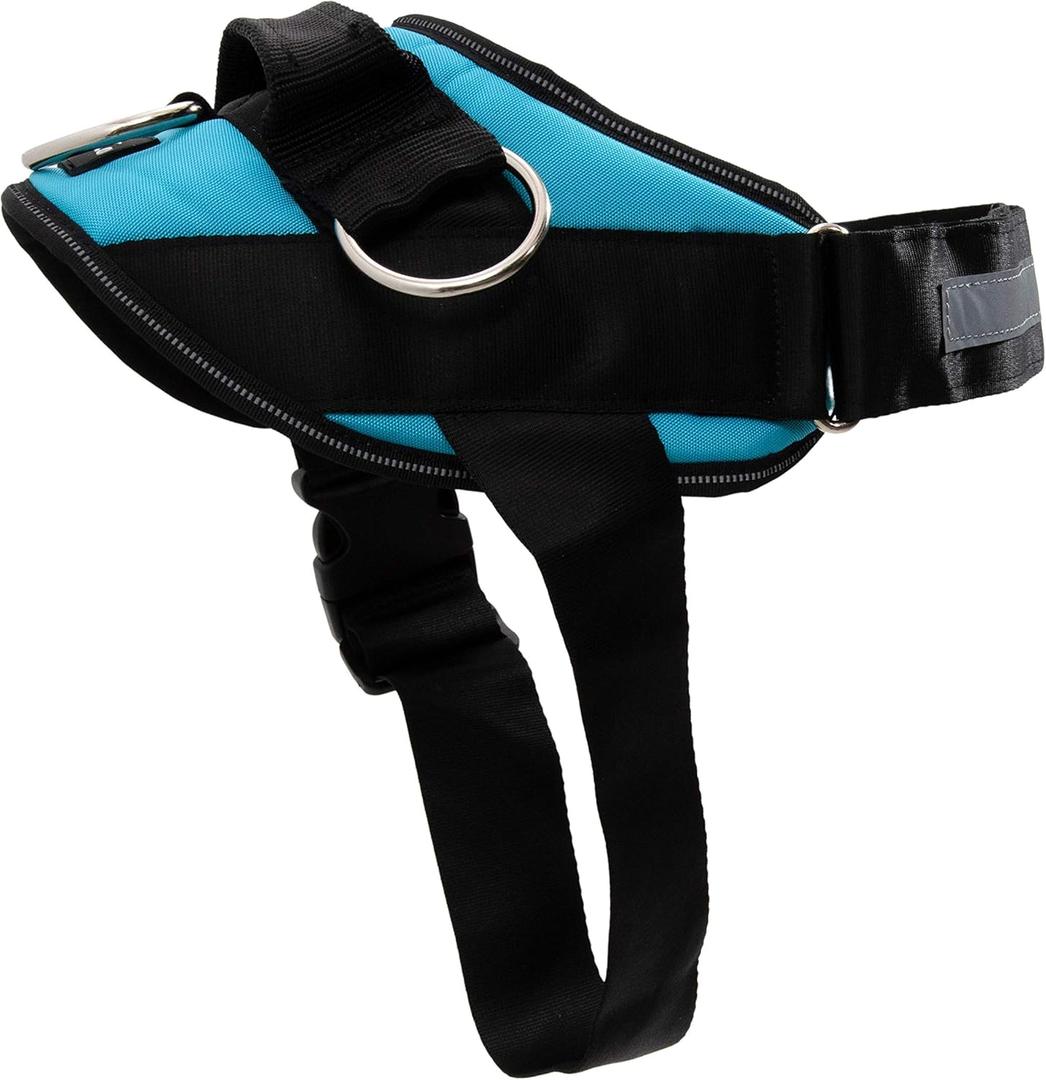 ShawnCo Essential Dog Harness, No-Pull Pet Vest with 3 Leash Clips, No Choke, Reflective, Adjustable and Padded, for Easy Walking and Training for Small, Medium and Large Dogs (Oceanic Blue, L)